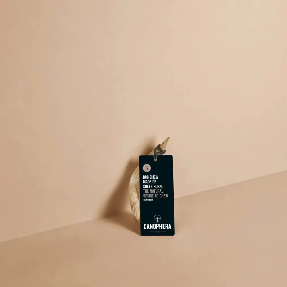 CANOPHERA Sheep Dog Chew Horn - Talis Us