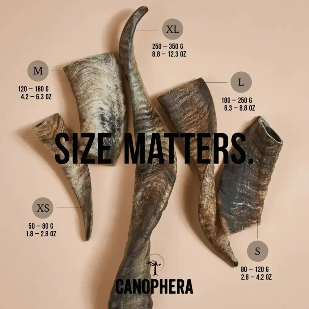 CANOPHERA Sheep Dog Chew Horn - Talis Us
