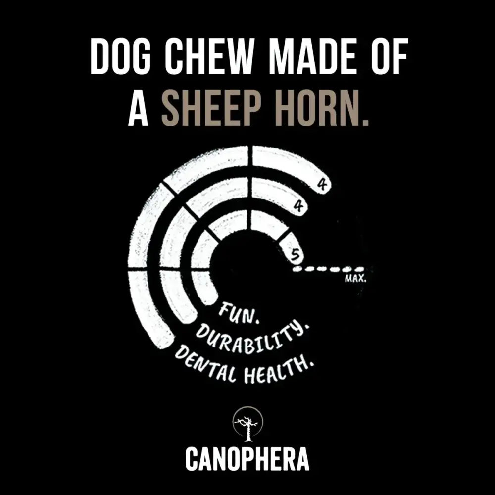 CANOPHERA Sheep Dog Chew Horn - Talis Us