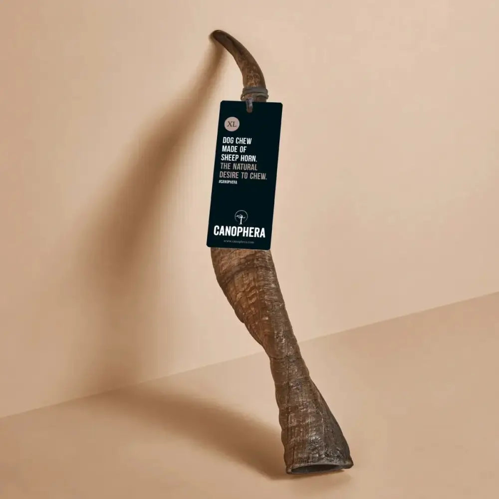 CANOPHERA Sheep Dog Chew Horn - Talis Us