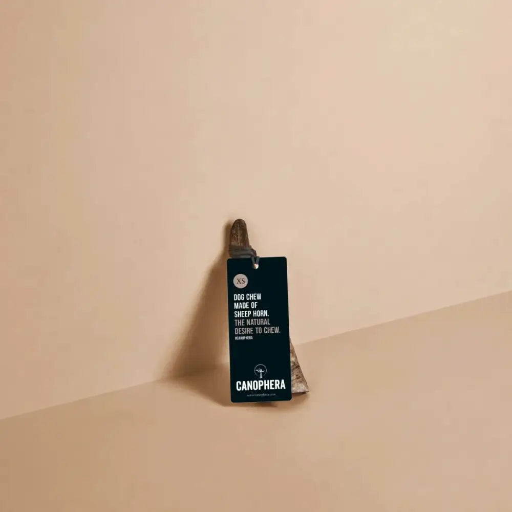 CANOPHERA Sheep Dog Chew Horn - Talis Us