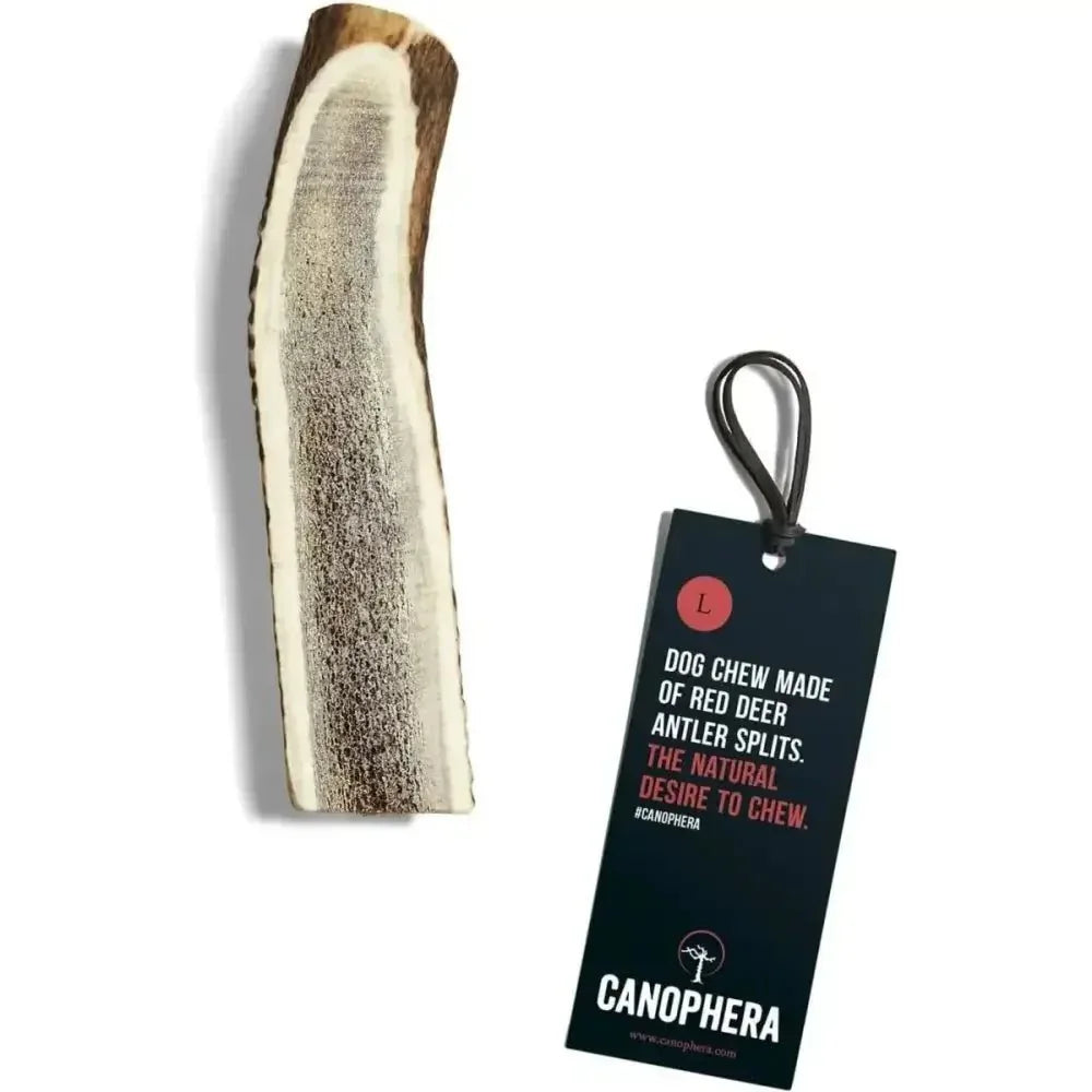 Canophera Split Red Deer Antler for Dogs - Talis Us