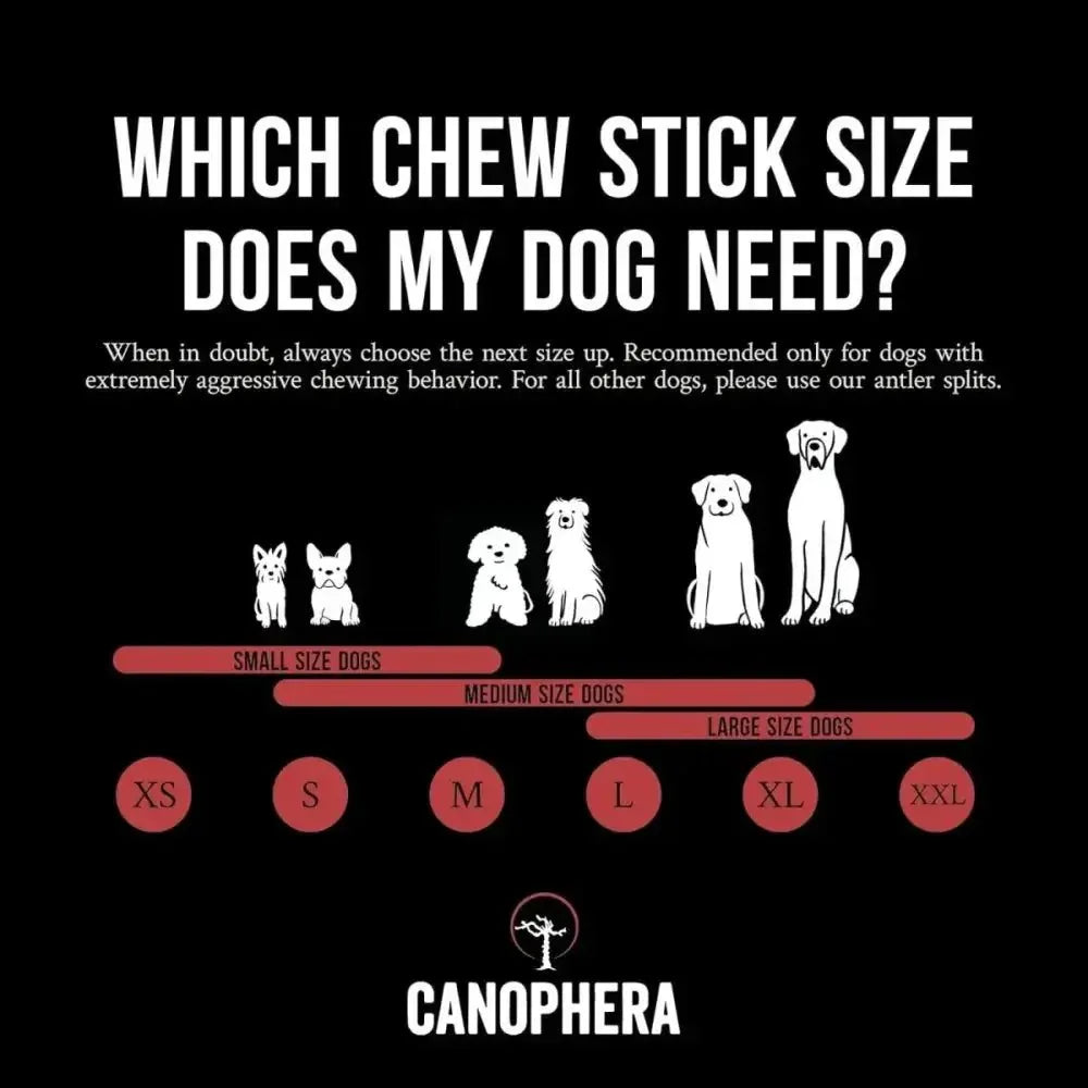 Canophera Whole Red Deer Antler Dog Chew - Talis Us