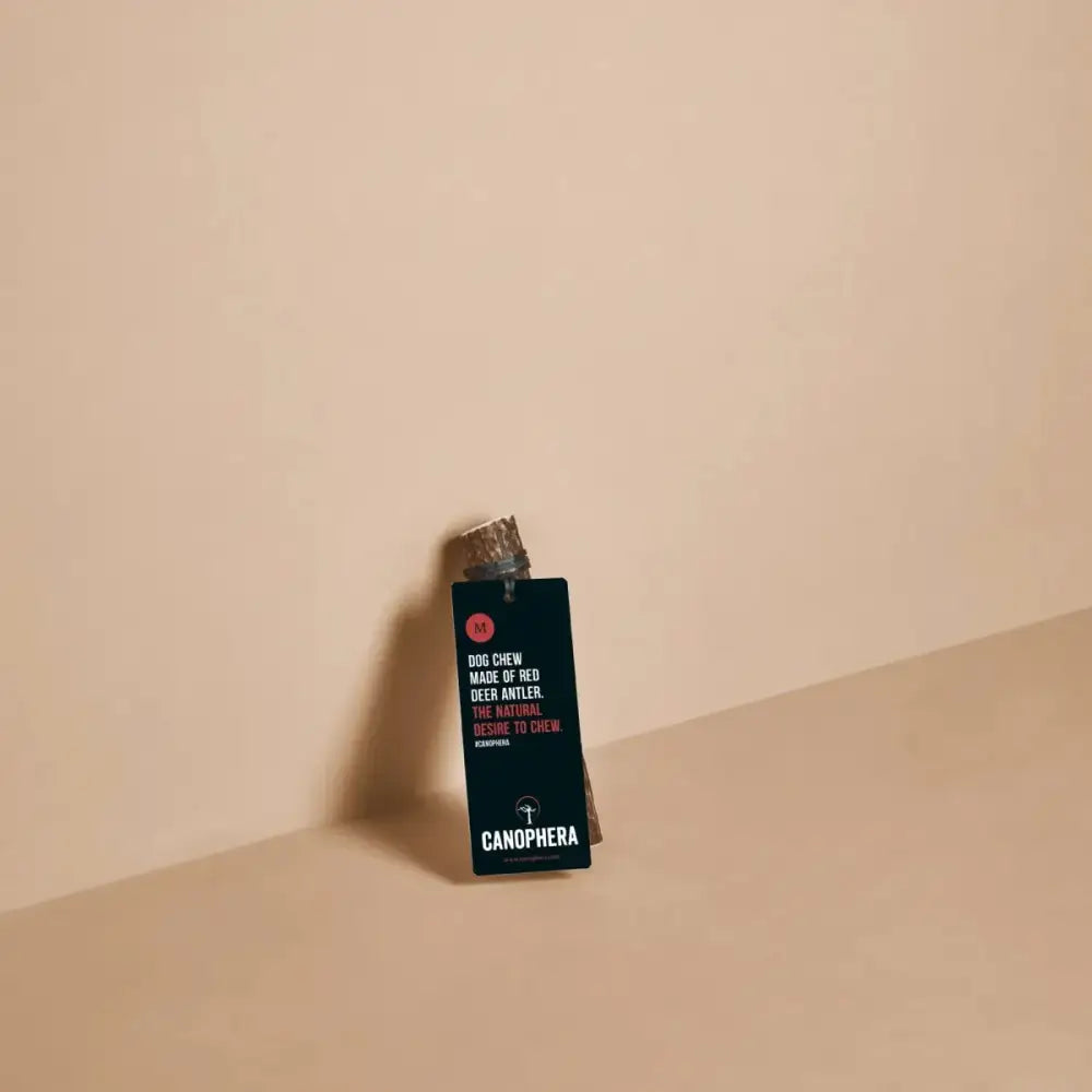 Canophera Whole Red Deer Antler Dog Chew - Talis Us