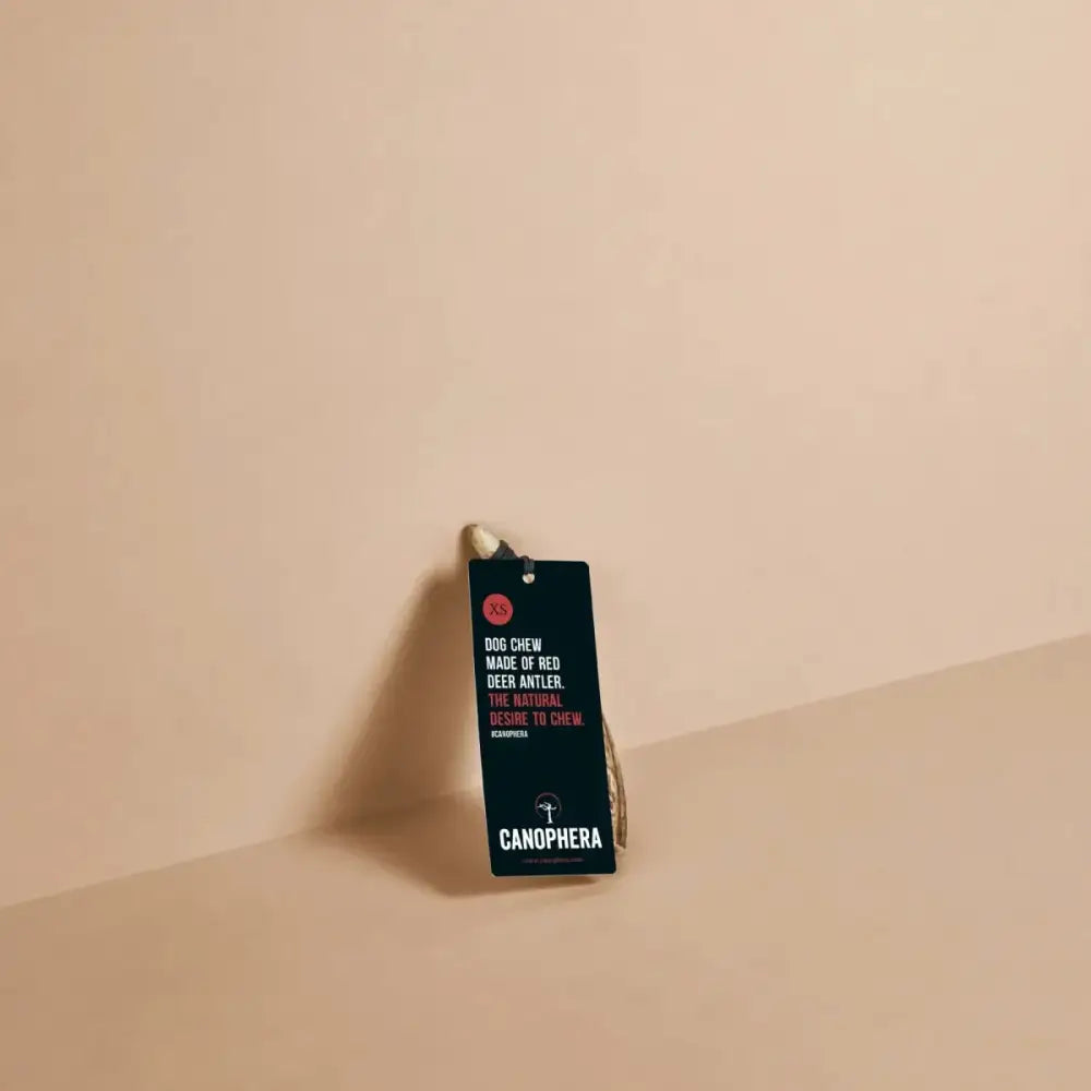 Canophera Whole Red Deer Antler Dog Chew - Talis Us