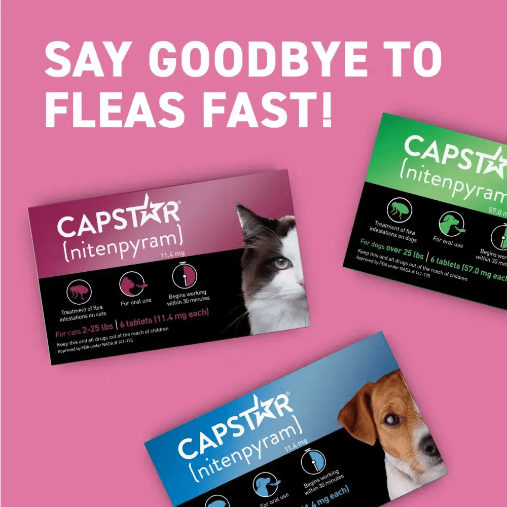 Capstar Cat Flea Tablets Without Prescription 11.4 Mg Each, 6 Tablets - Talis Us