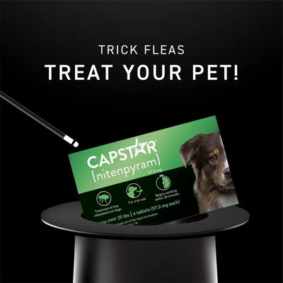 Capstar Flea Tablet for Large Dogs - Fast - Acting Treatment 57 Mg Each, 6 Tablets - Talis Us