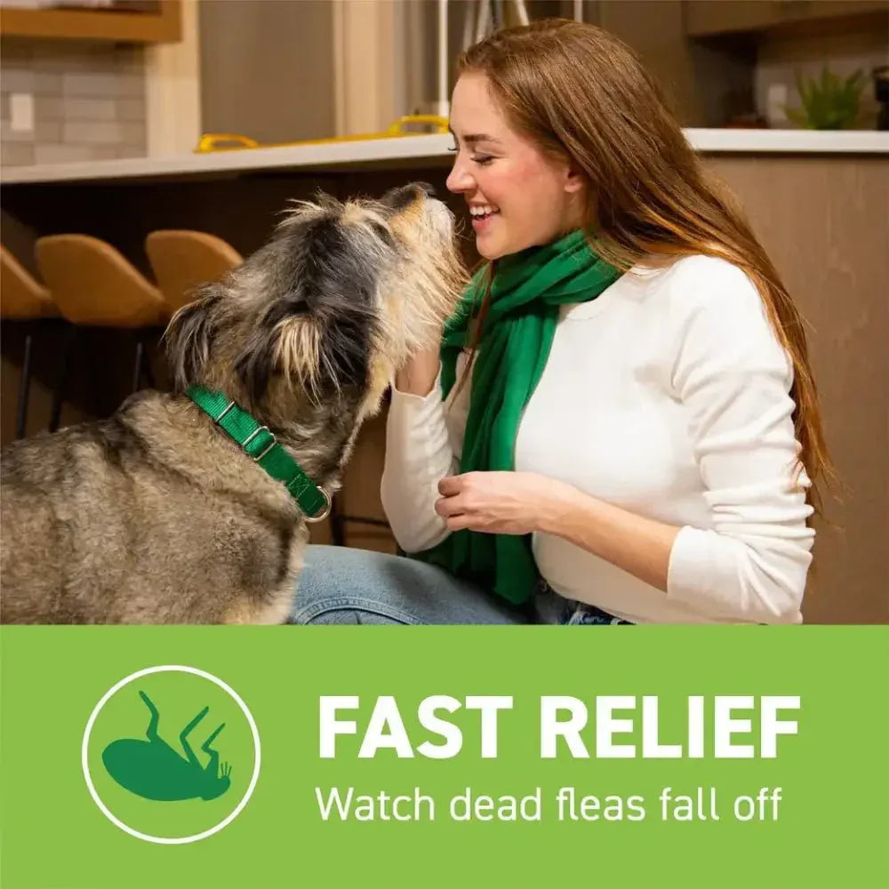 Capstar Flea Tablet for Large Dogs - Fast - Acting Treatment 57 Mg Each, 6 Tablets - Talis Us