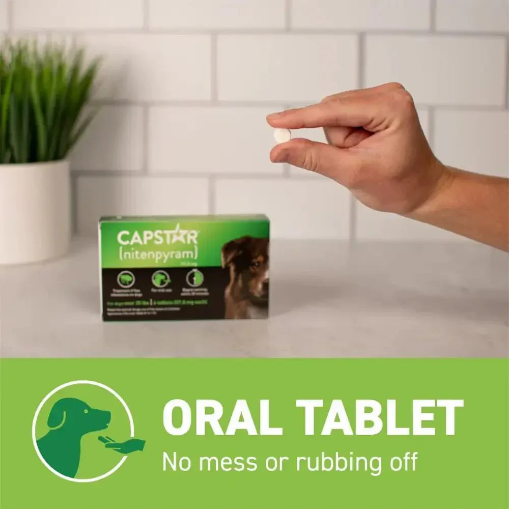 Capstar Flea Tablet for Large Dogs - Fast - Acting Treatment 57 Mg Each, 6 Tablets - Talis Us