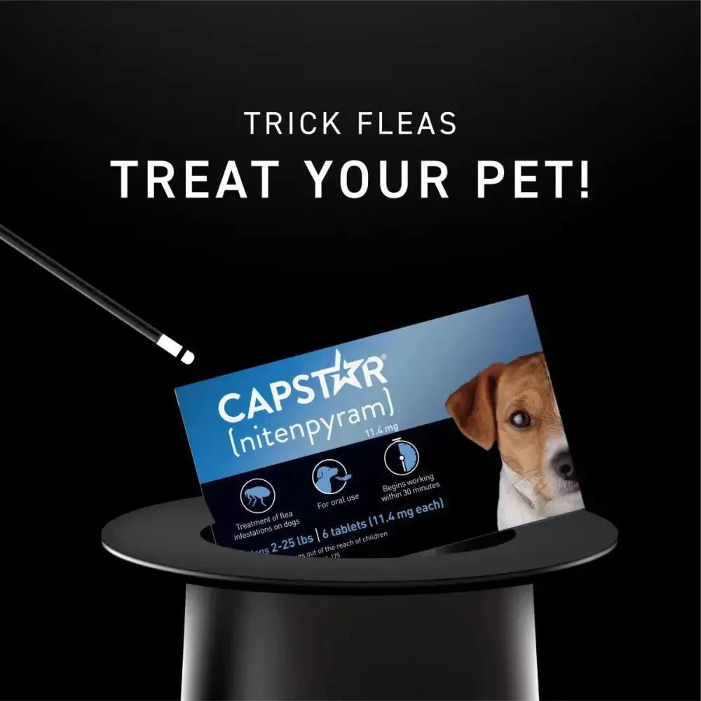 Capstar Flea Tablets for Small Dogs - Fast Acting Relief 11.4 Mg Each, 6 Tablets - Talis Us