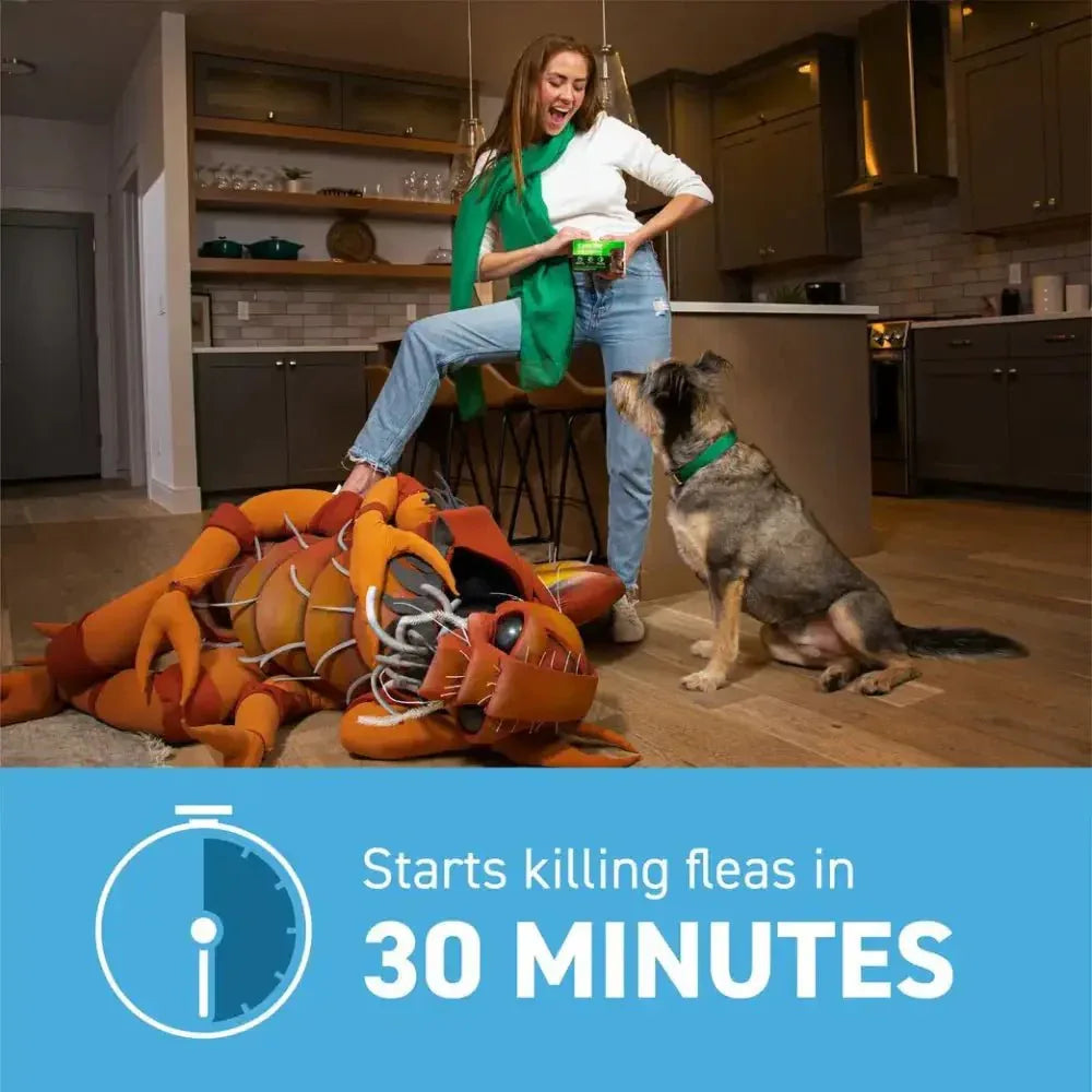 Capstar Flea Tablets for Small Dogs - Fast Acting Relief 11.4 Mg Each, 6 Tablets - Talis Us