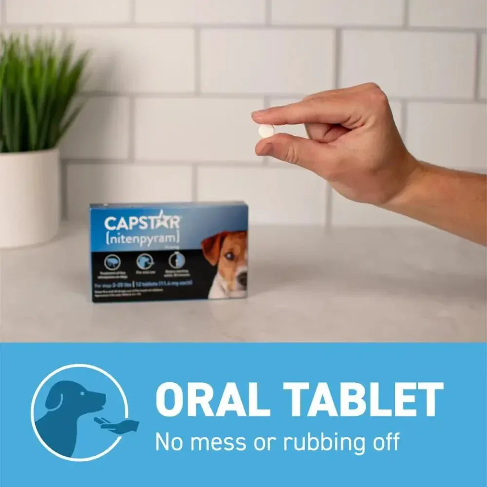 Capstar Flea Tablets for Small Dogs - Fast Acting Relief 11.4 Mg Each, 6 Tablets - Talis Us