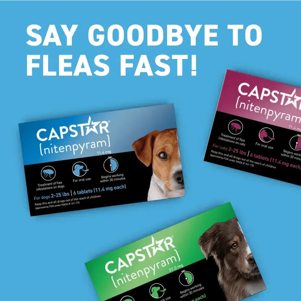 Capstar Flea Tablets for Small Dogs - Fast Acting Relief 11.4 Mg Each, 6 Tablets - Talis Us