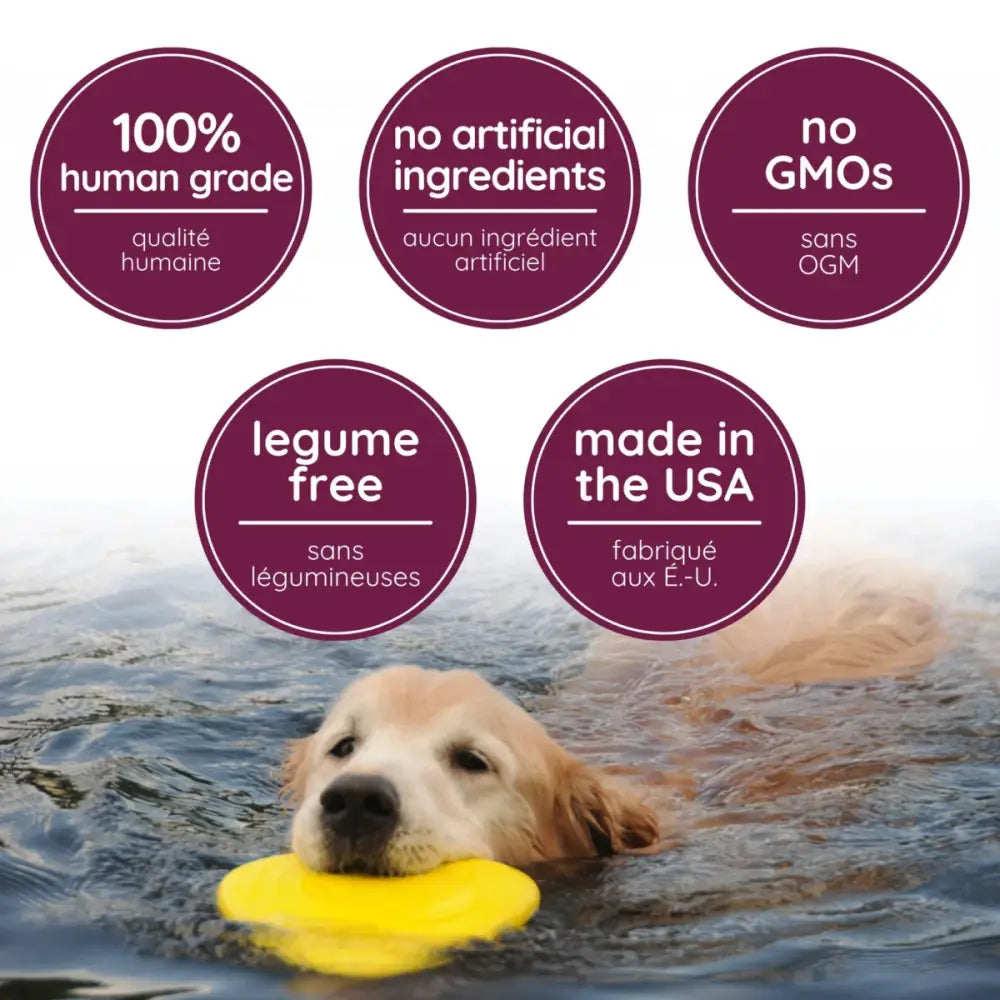 Caru Pet Food Goat Milk Dog Treats with Banana & Blueberry 4 oz - Talis Us