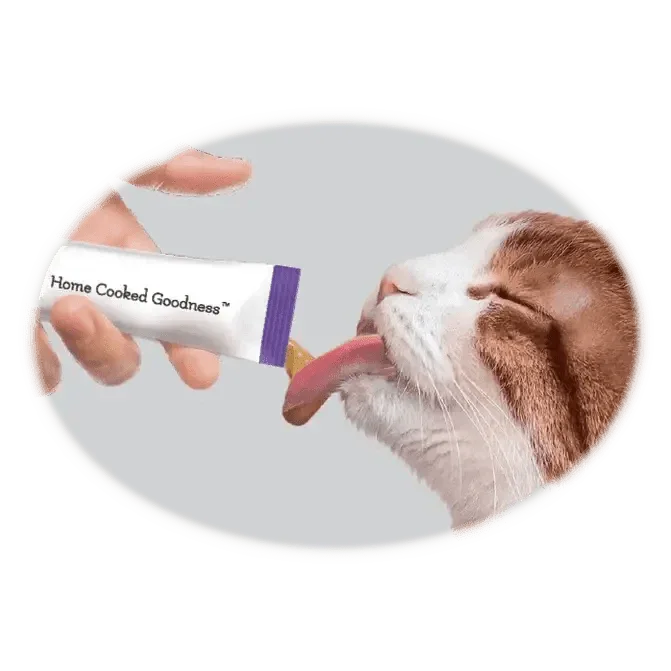 Caru Pet Food Lickable Cat Treats - All - Natural - Talis Us