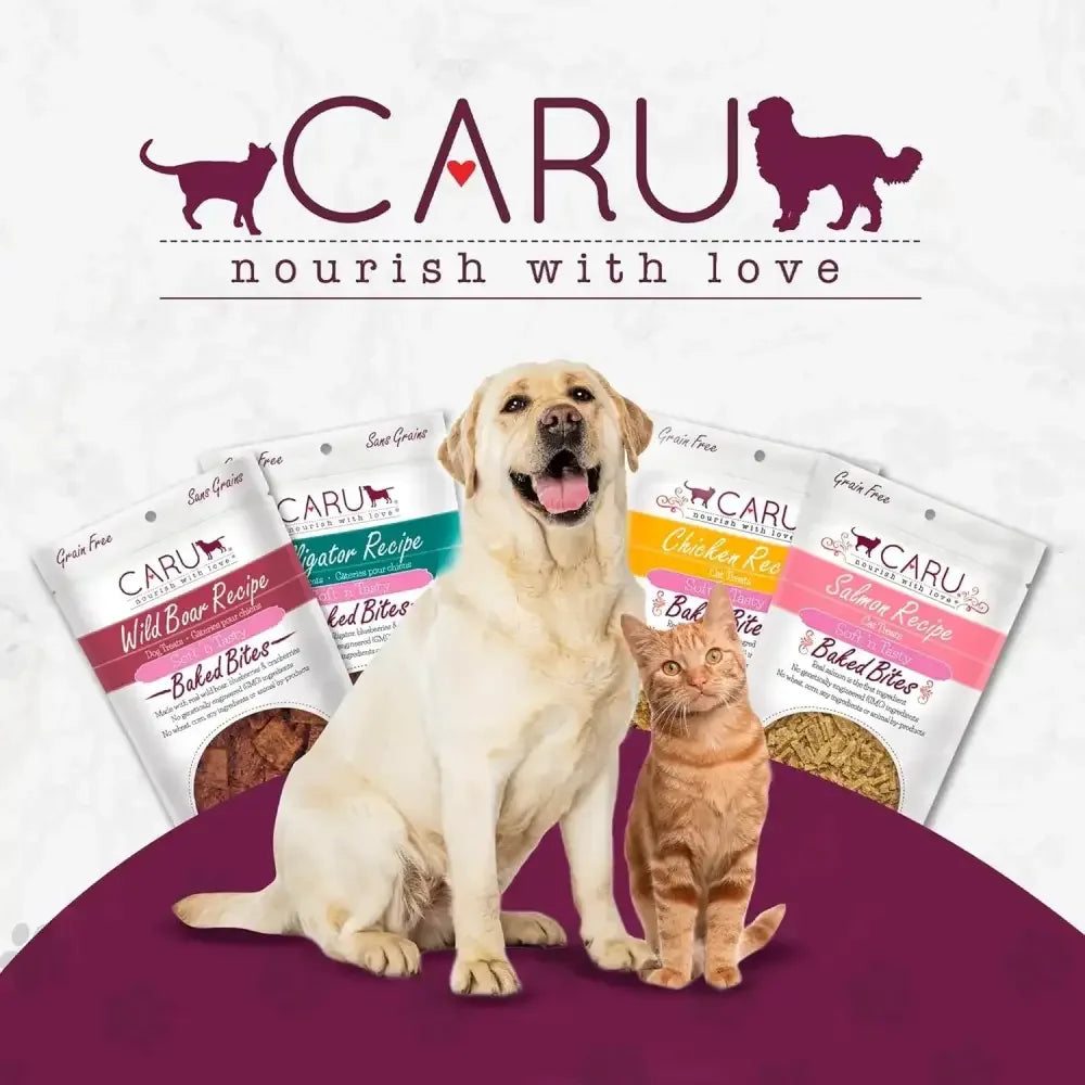 Caru Pet Food Soft 'n Tasty Baked Bites Salmon Recipe Grain-Free Cat Treats Caru Pet Food