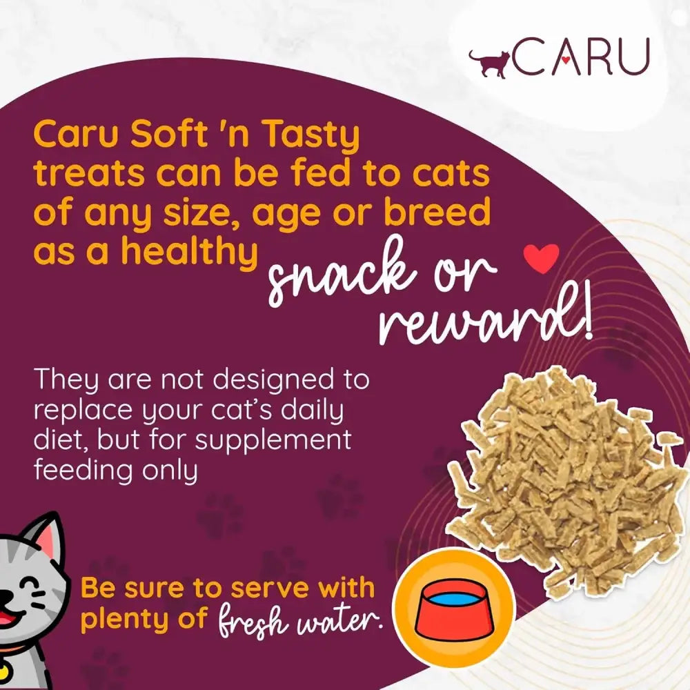 Caru Pet Food Soft 'n Tasty Baked Bites Salmon Recipe Grain-Free Cat Treats Caru Pet Food