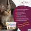 Caru Pet Food Soft 'n Tasty Baked Bites Salmon Recipe Grain-Free Cat Treats Caru Pet Food