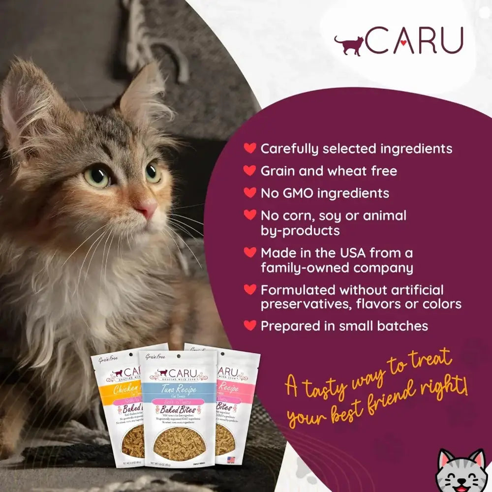 Caru Pet Food Soft 'n Tasty Baked Bites Salmon Recipe Grain-Free Cat Treats Caru Pet Food