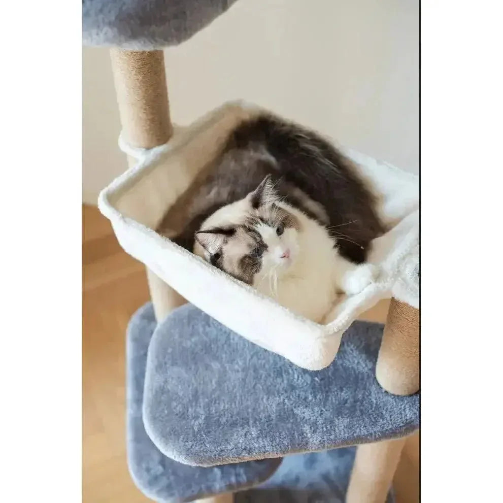 Catry Babylon Cat Tower with Cat Hammock, Scratching Post, and Playful Toy - Talis Us