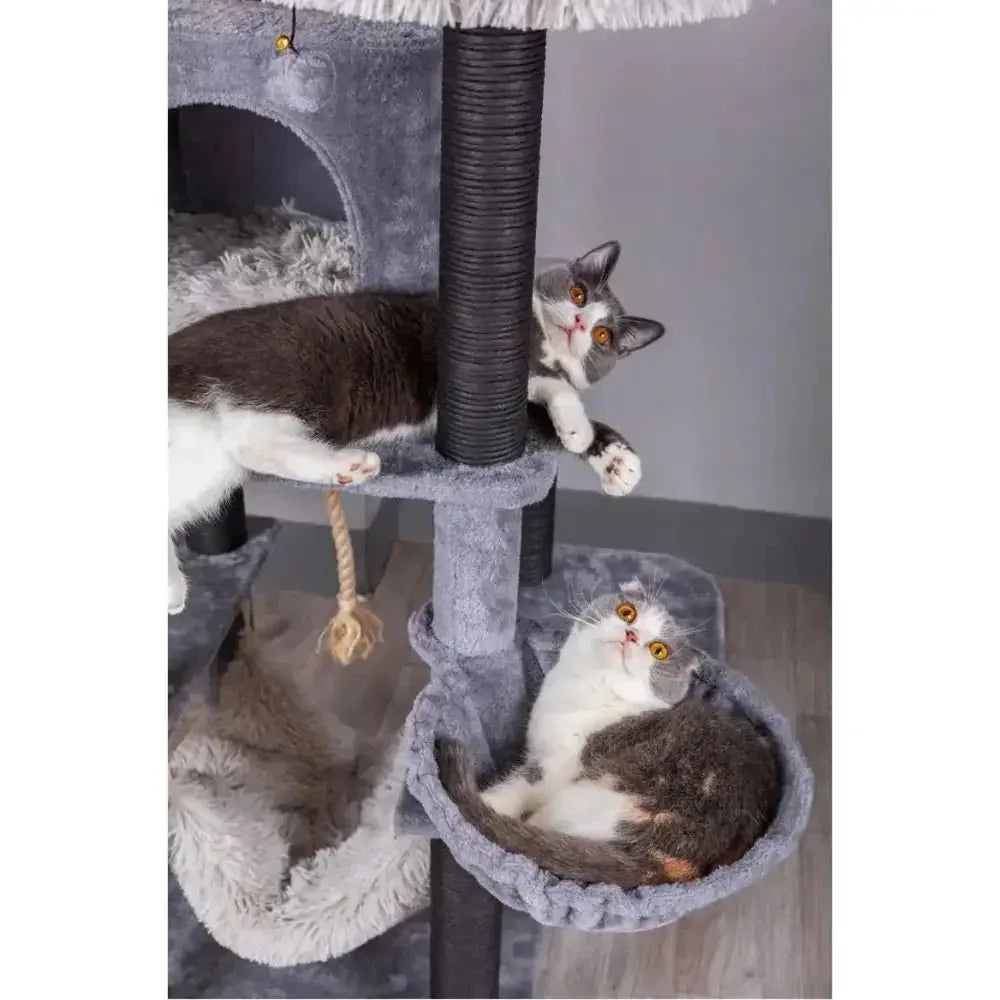 Catry Bradbury 7 Level Gray Cat Tree With Scratching Posts, Condo, Hammock and Two Shag Fur Cushions - Talis Us