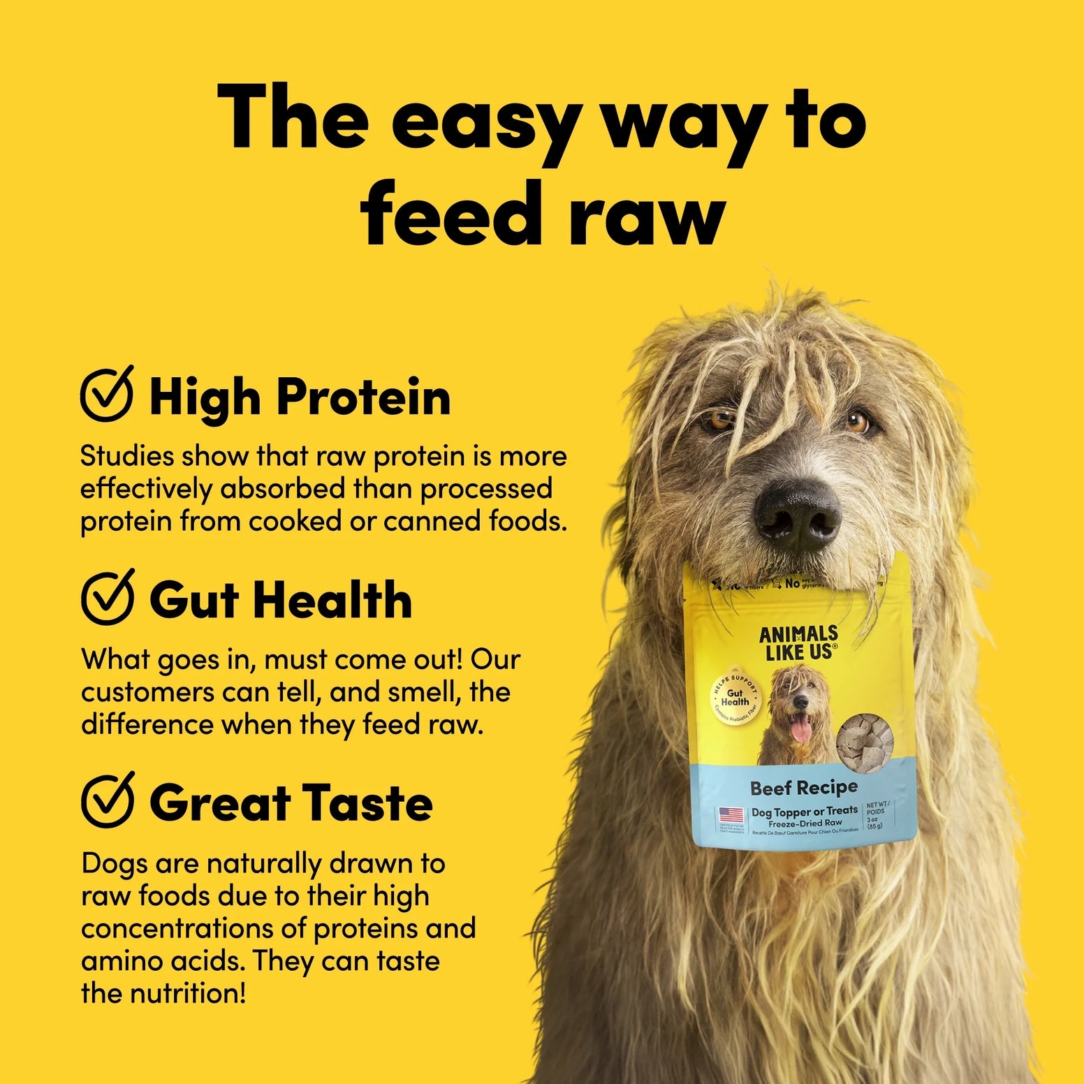 Large dog holding a yellow and blue pouch of freeze-dried raw beef dog food topper on a bright background