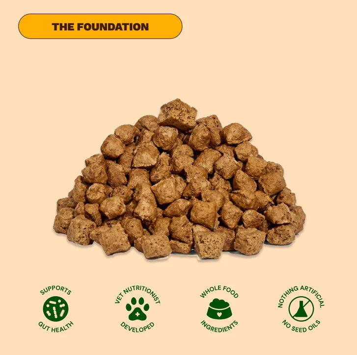 A pile of brown, square-shaped dog food kibble with icons for gut health and whole food ingredients.