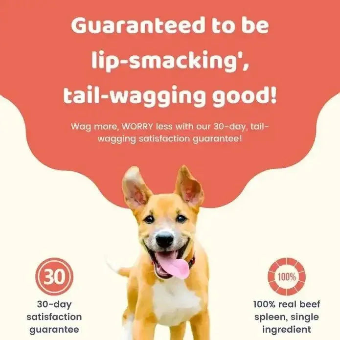 Charmy Pet Beef Spleen Dog Treats 3.8 oz - Talis Us
