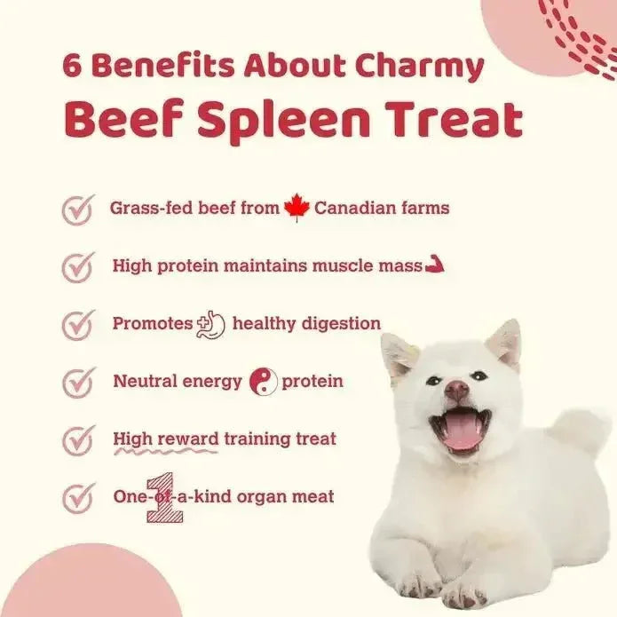 Charmy Pet Beef Spleen Dog Treats 3.8 oz - Talis Us