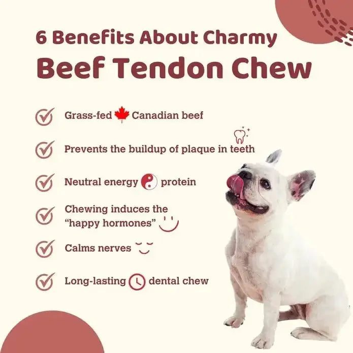 Charmy Pet Beef Tendon Dog Treats 5.6 oz - Talis Us