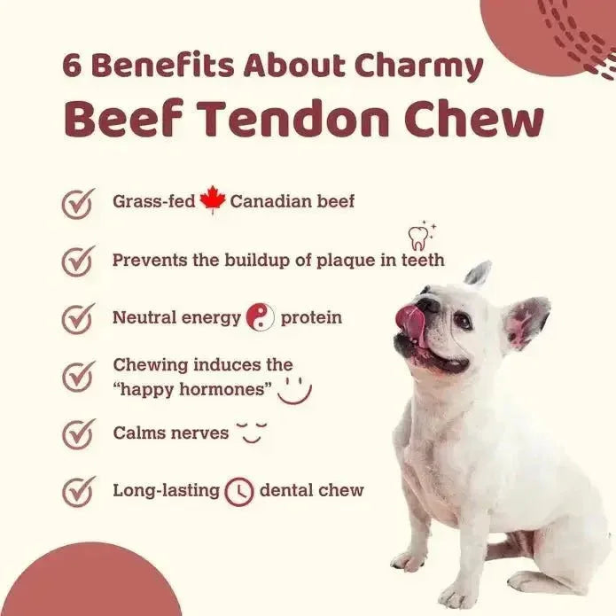 Charmy Pet Beef Tendon Dog Treats 5.6 oz - Talis Us