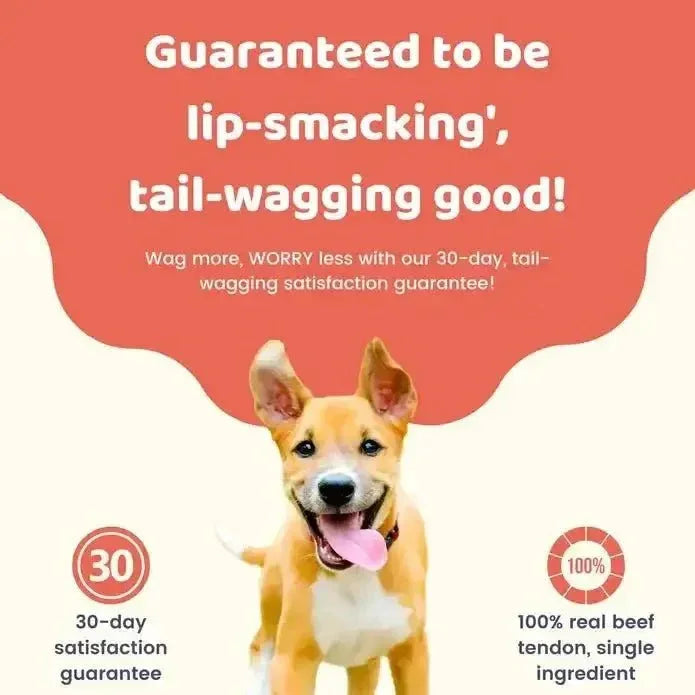 Charmy Pet Beef Tendon Dog Treats 5.6 oz - Talis Us