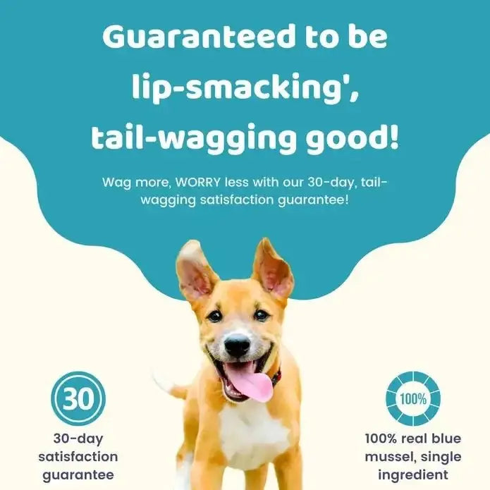 Charmy Pet Blue Mussel Dog Treats 3.8 oz - Talis Us