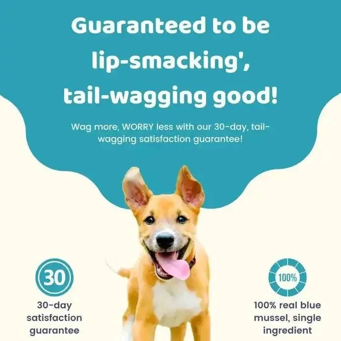 Charmy Pet Blue Mussel Dog Treats 3.8 oz - Talis Us