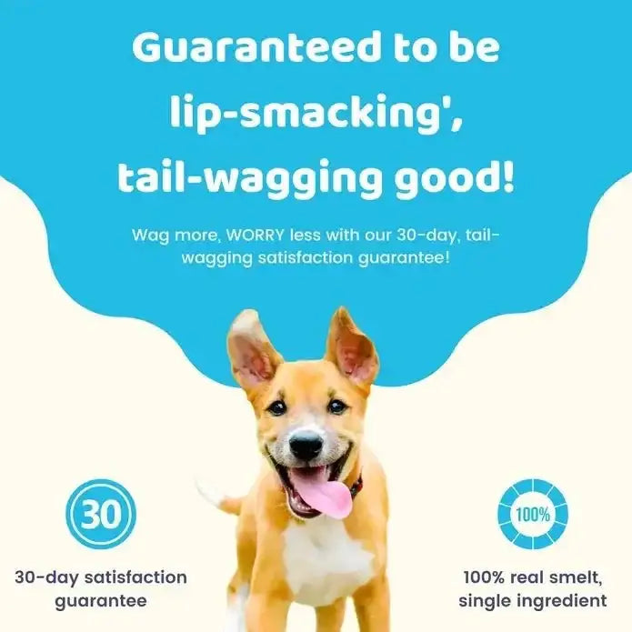 Charmy Pet Lake Smelt Dog Treats 3.8 oz - Talis Us