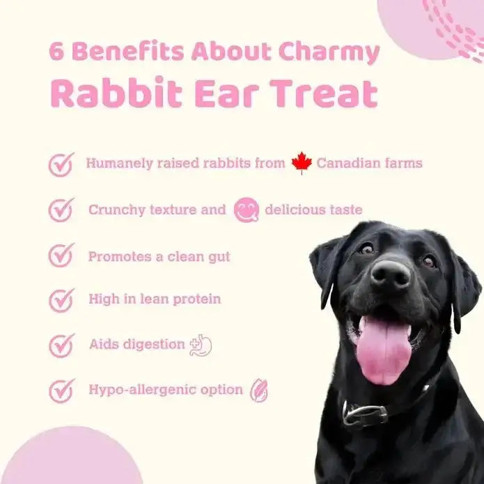 Charmy Pet Rabbit Ear Dog Treats 1.5 oz - Talis Us