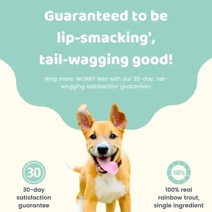 Charmy Pet Rainbow Trout Dog Treats - Talis Us