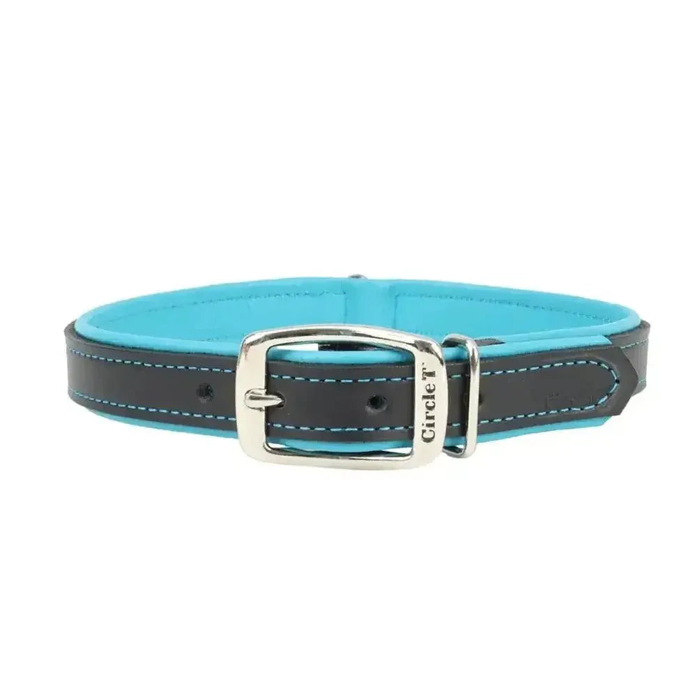 Circle T® Double - Ply Fashion Leather Collar - Talis Us