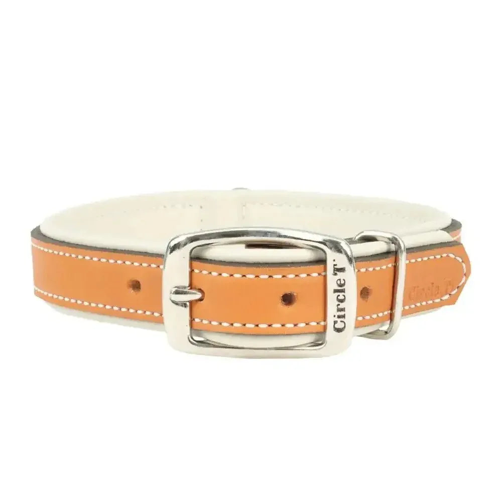 Circle T® Double - Ply Fashion Leather Collar - Talis Us