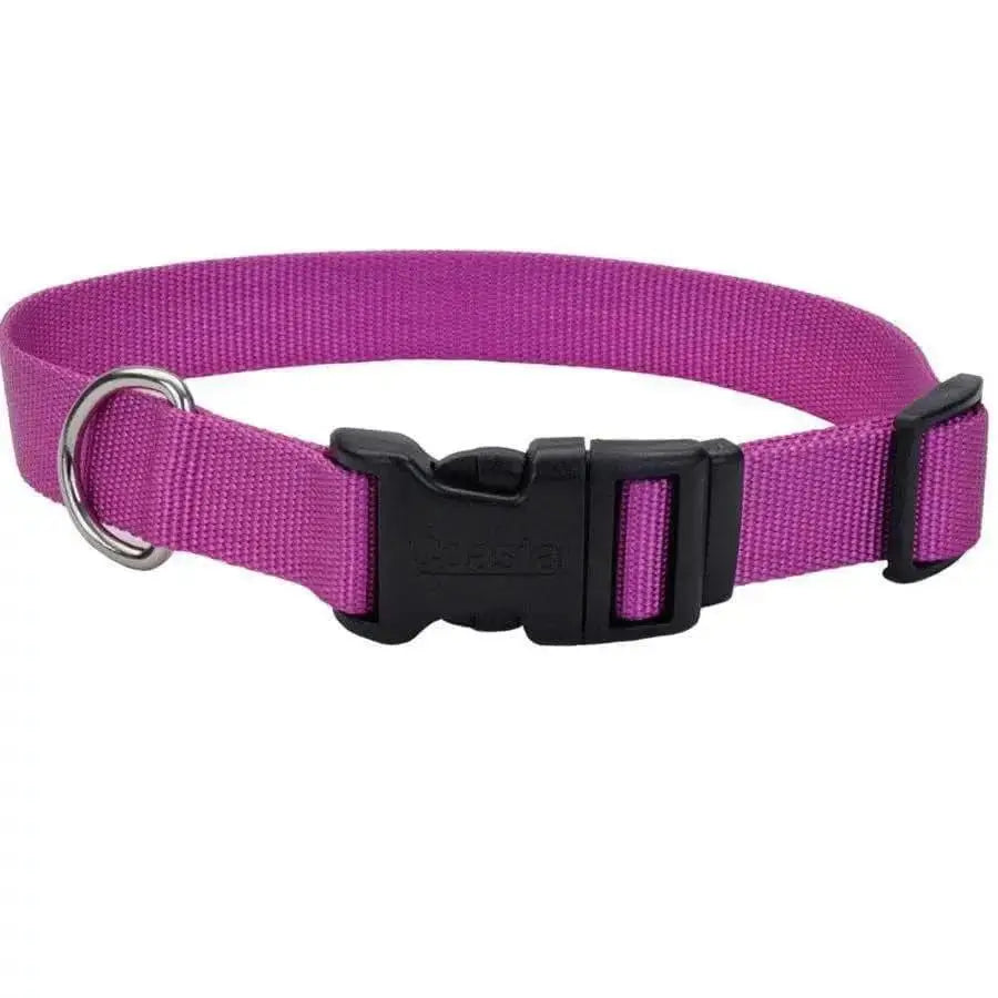 Coastal Adjustable Nylon Dog Collar with Plastic Buckle Coastal CPD