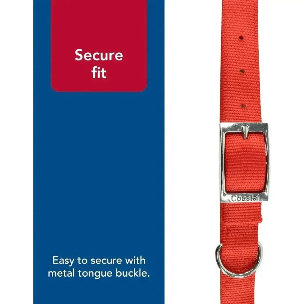 Coastal Flat Buckle Double Ply Nylon Collars & Leads - Talis Us
