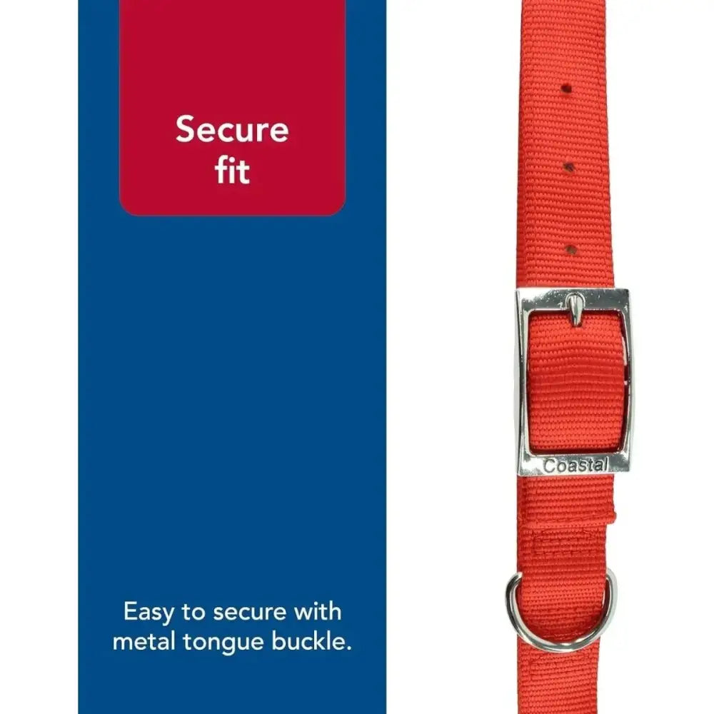 Coastal Flat Buckle Double Ply Nylon Collars & Leads - Talis Us