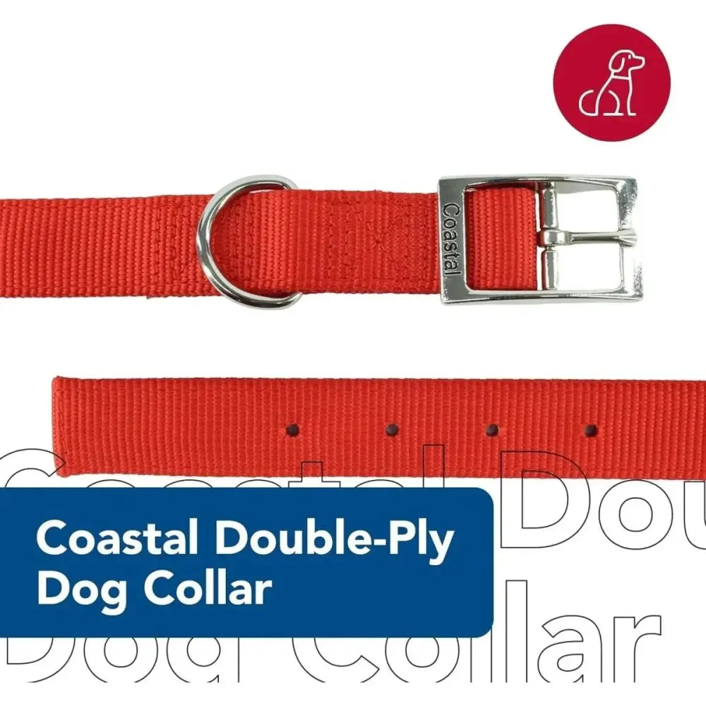 Coastal Flat Buckle Double Ply Nylon Collars & Leads - Talis Us