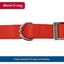 Coastal Flat Buckle Double Ply Nylon Collars & Leads - Talis Us