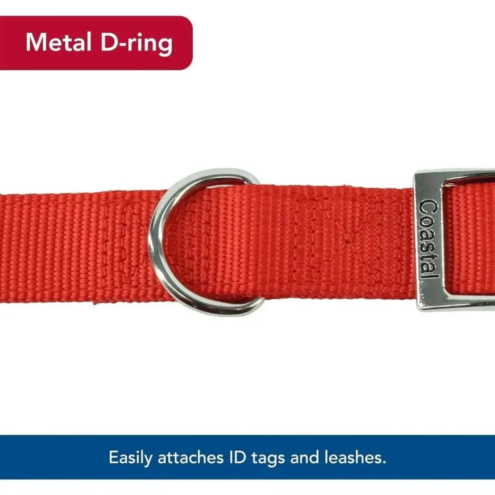 Coastal Flat Buckle Double Ply Nylon Collars & Leads - Talis Us