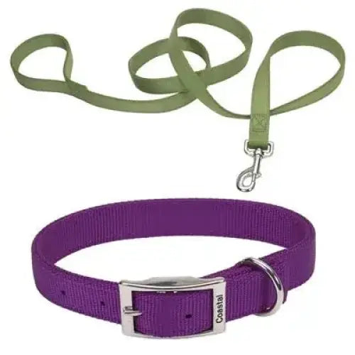 Coastal Flat Buckle Double Ply Nylon Collars & Leads - Talis Us