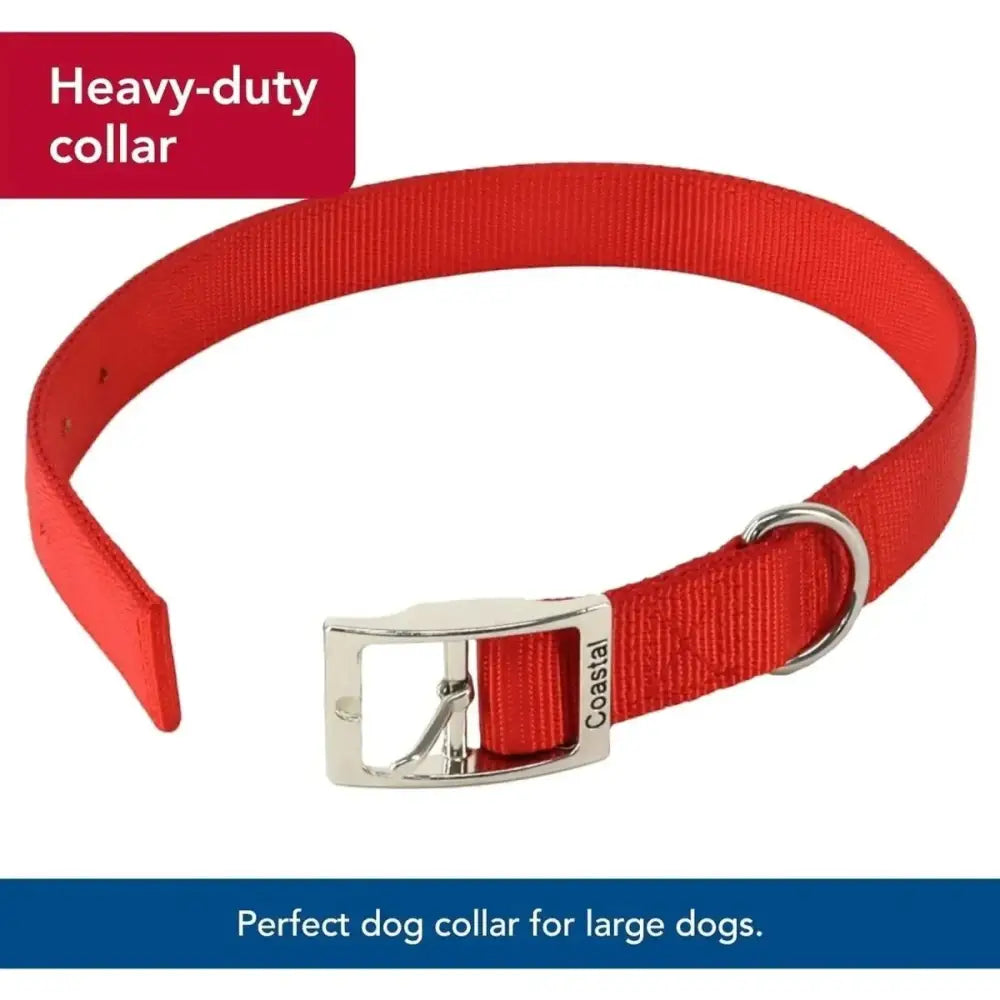 Coastal Flat Buckle Double Ply Nylon Collars & Leads - Talis Us