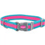 Pro Reflective Adjustable Nylon Dog Collar Pro CPD