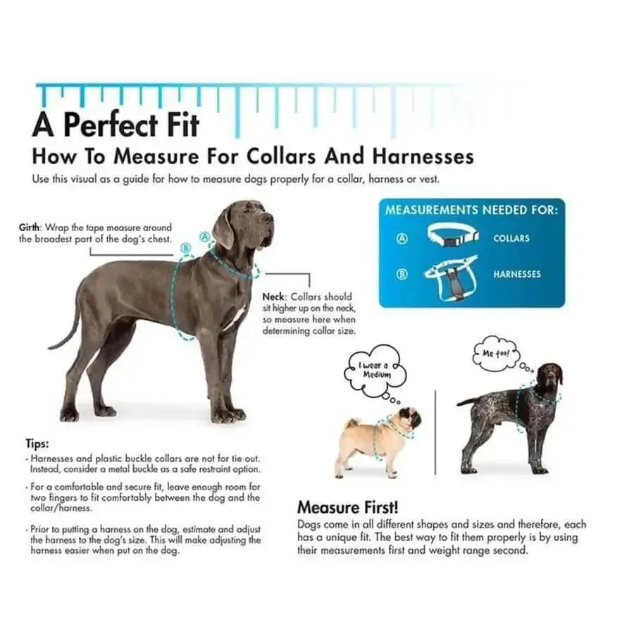 Pro Reflective Adjustable Nylon Dog Collar Pro CPD