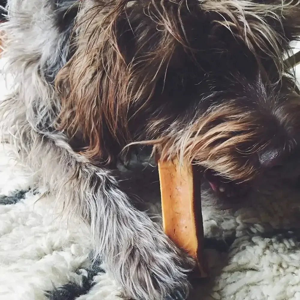 Coconut Yak Milk Chews for Dogs Chew Dog Treats - Talis Us